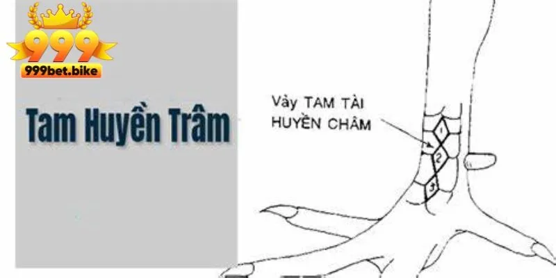 Đặc Điểm Nhận Dạng Vảy Gà Huyền Trâm Hot Nhất 2025 Ở Kê Thủ